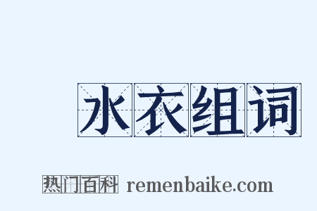潛水衣组词是什么意思的图片